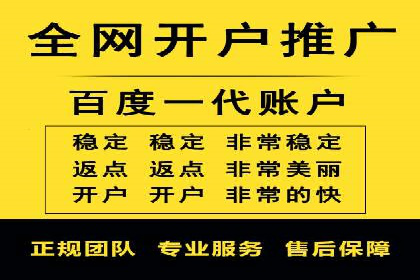谷歌竞价案例：成功案例分析及启示